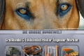 bigdog24_katalog1